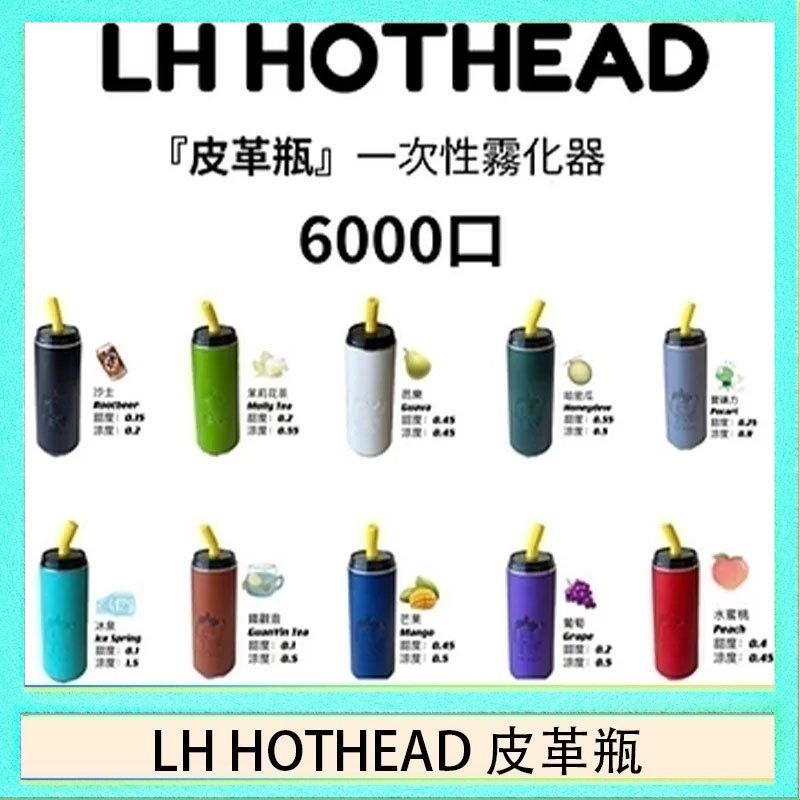 LH HOTHEAD皮革 LH HOTHEAD皮革瓶電子煙可充電6000口一次性
