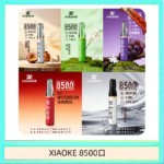 梟客XIAOKE一次性電子菸拋棄式8500口