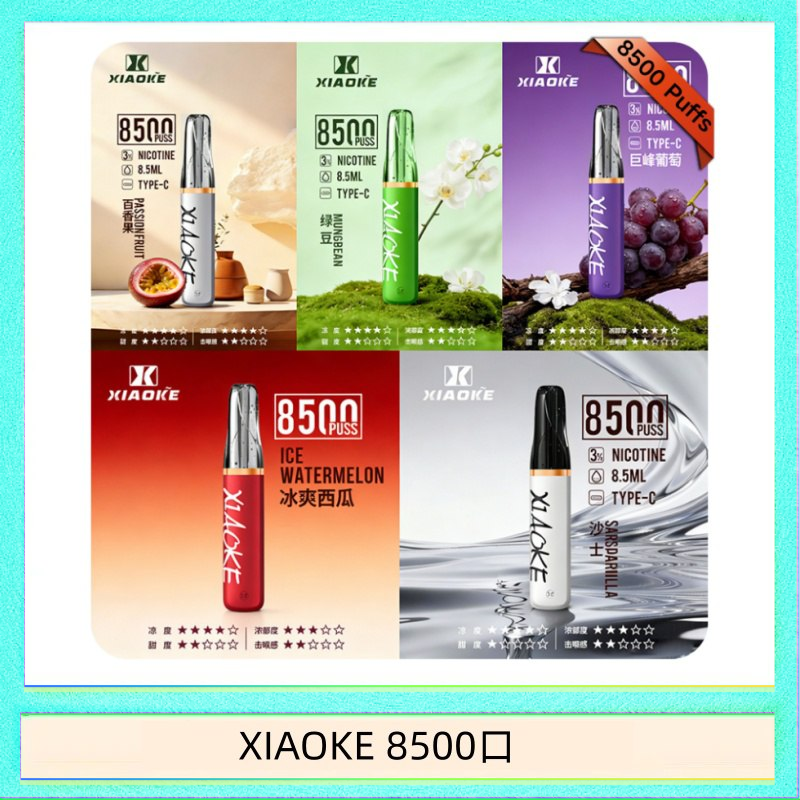 XIAOKE8500口 梟客XIAOKE一次性電子菸拋棄式8500口